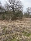 0000 County Road 436 photo